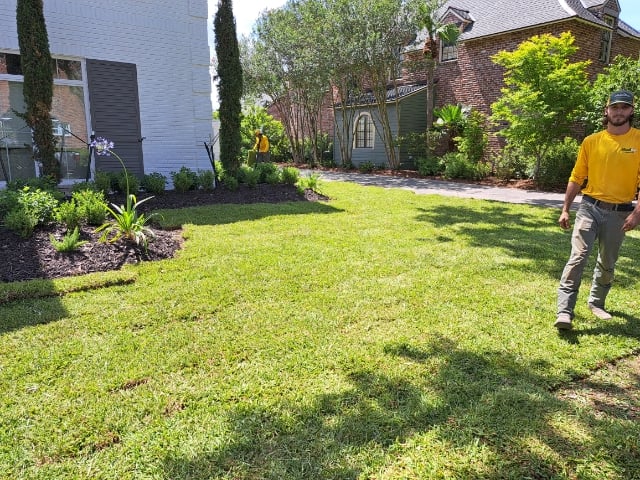 Sod Installation