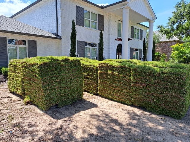 Sod Installation