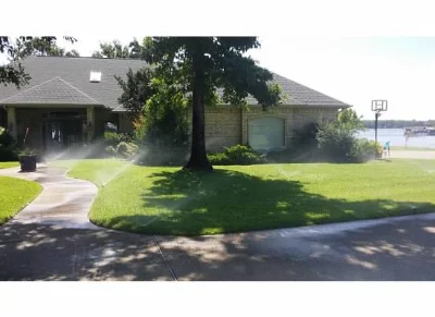 Sprinklers spraying green grass lining walkway leading to house with tree in front.