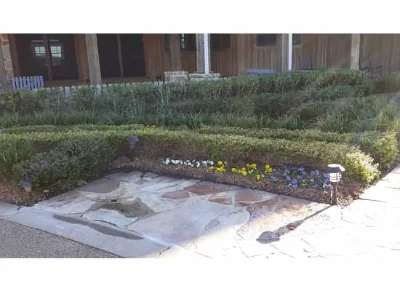 Stone walkway against short hedges with white, yellow, and purple flowers and small light post