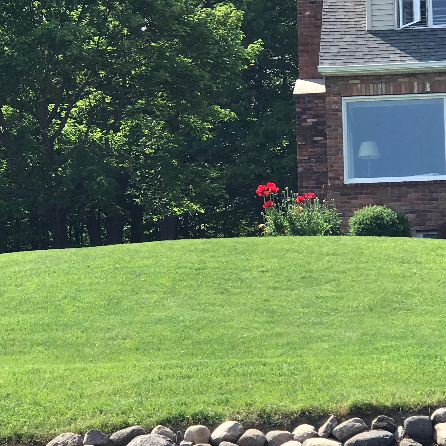 The Grounds Guys of Albany, NY General