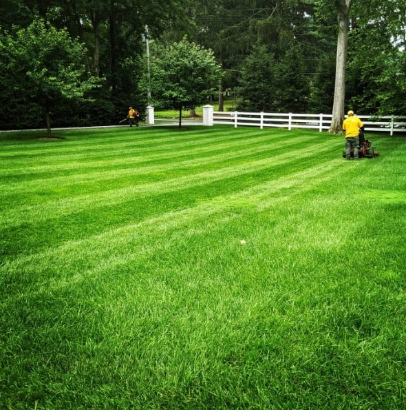 The Grounds Guys of Armonk and Greenwich General