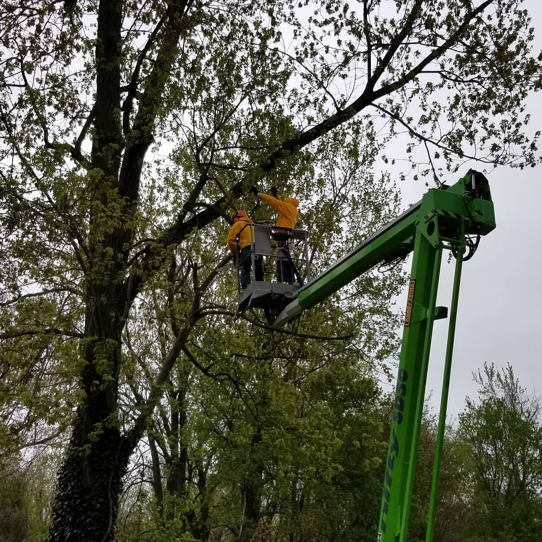 The Grounds Guys of Avon General