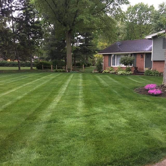 The Grounds Guys of Canton, OH