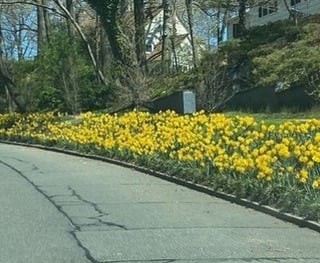 The Grounds Guys of Falls Church General