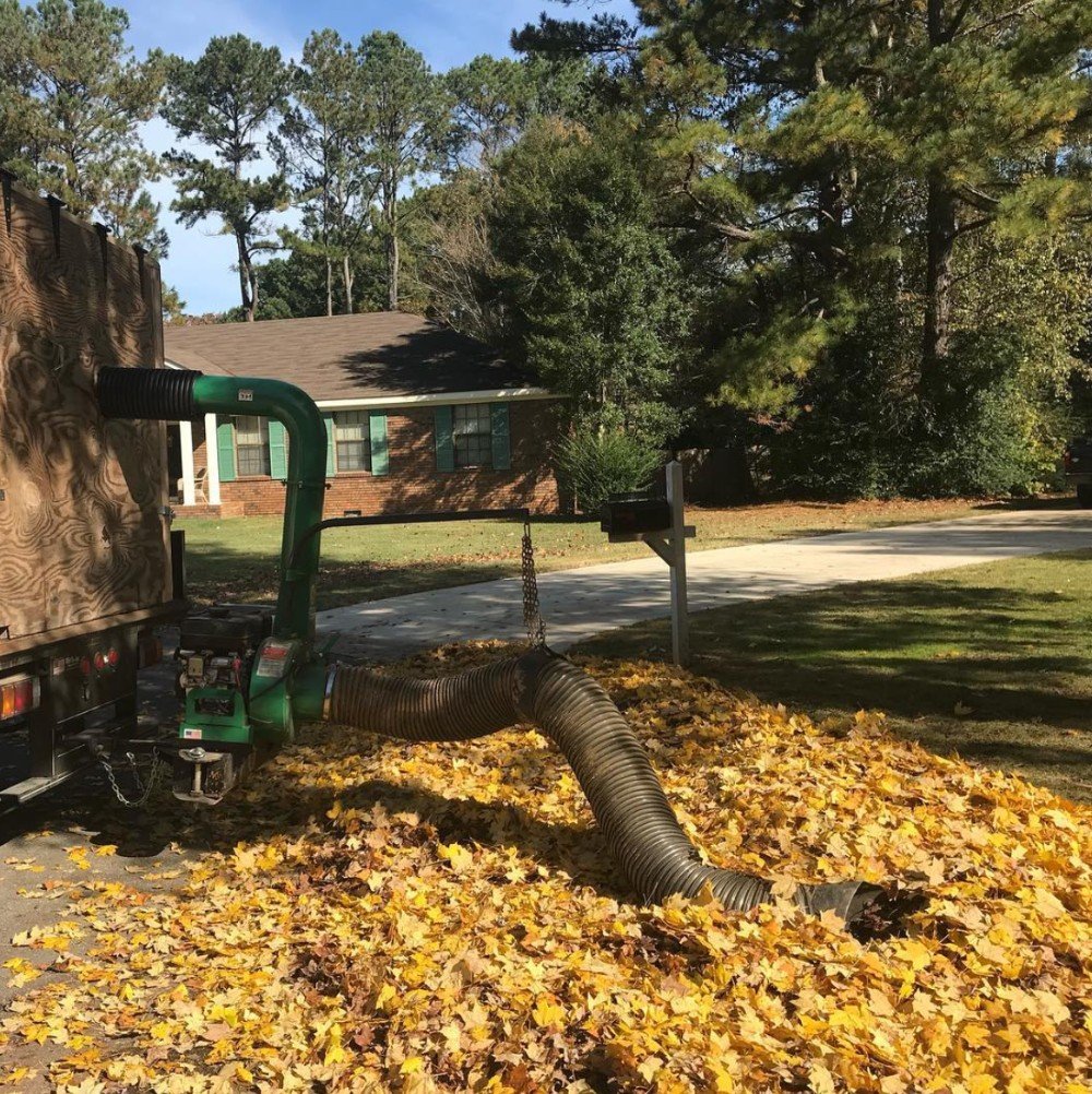 fall leaf cleanup