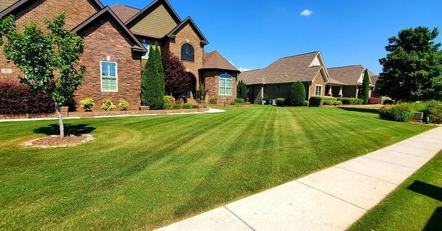 lawn maintenance