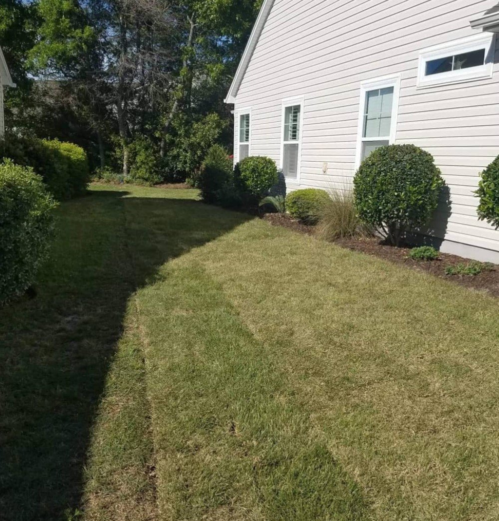 sod installation