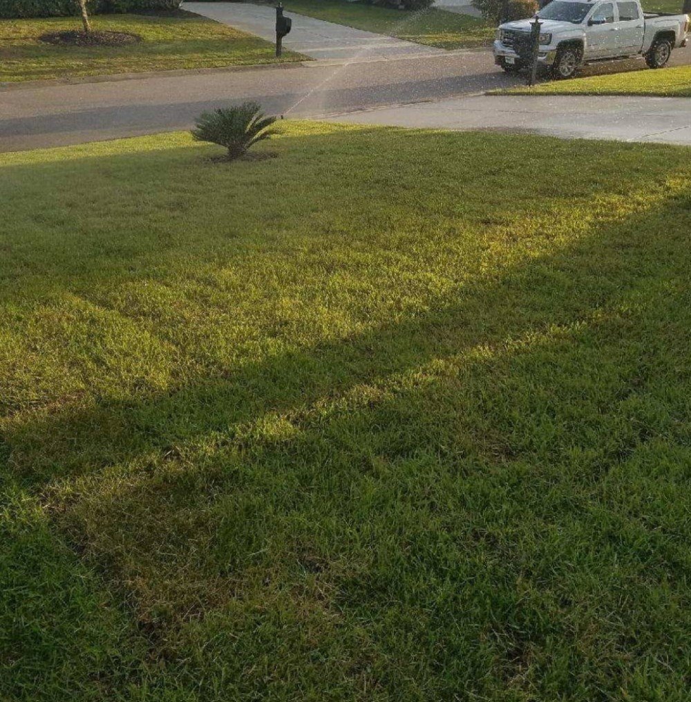 lawn maintenance