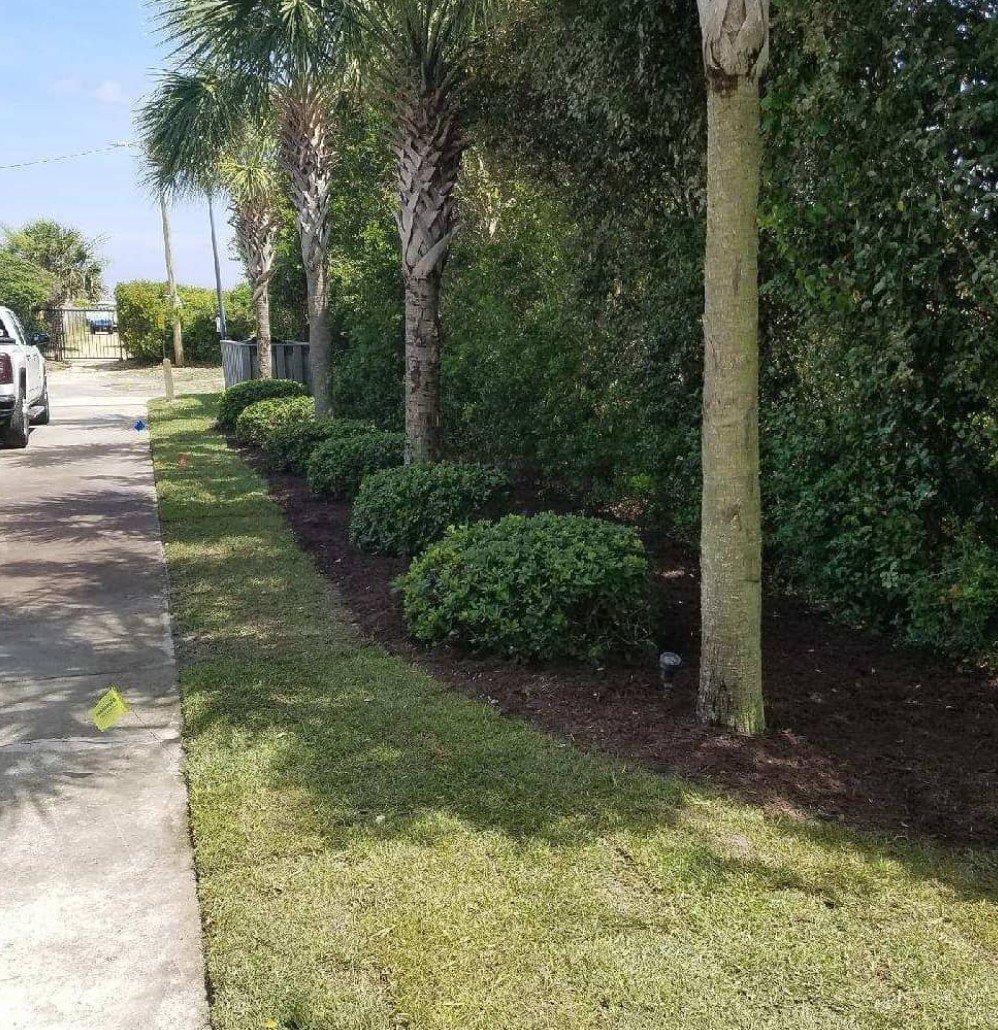 sod installation