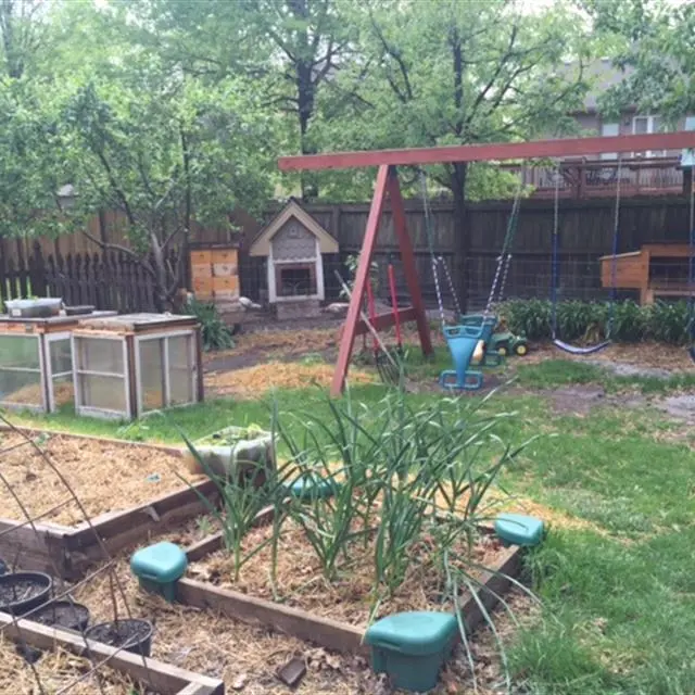 raised flower beds and a swing set in backyard