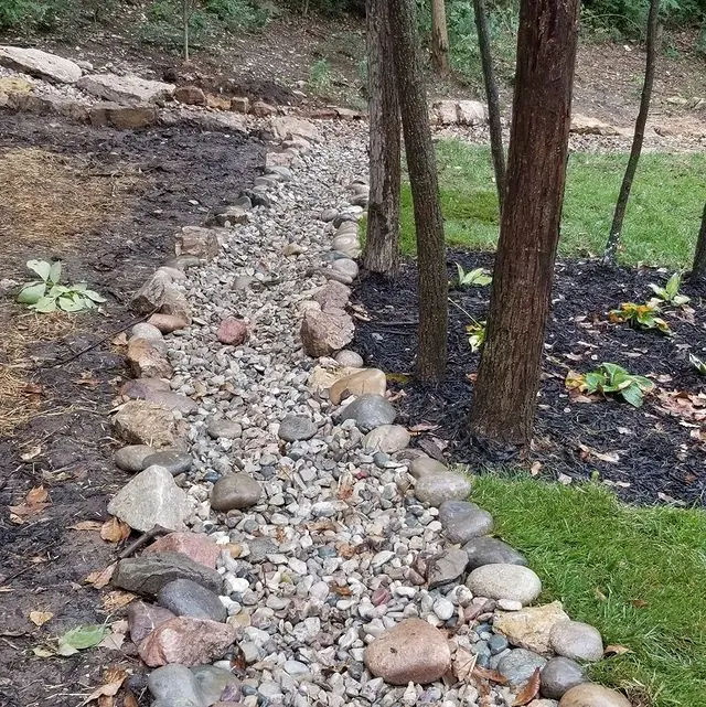 graveled path through a wooded yard