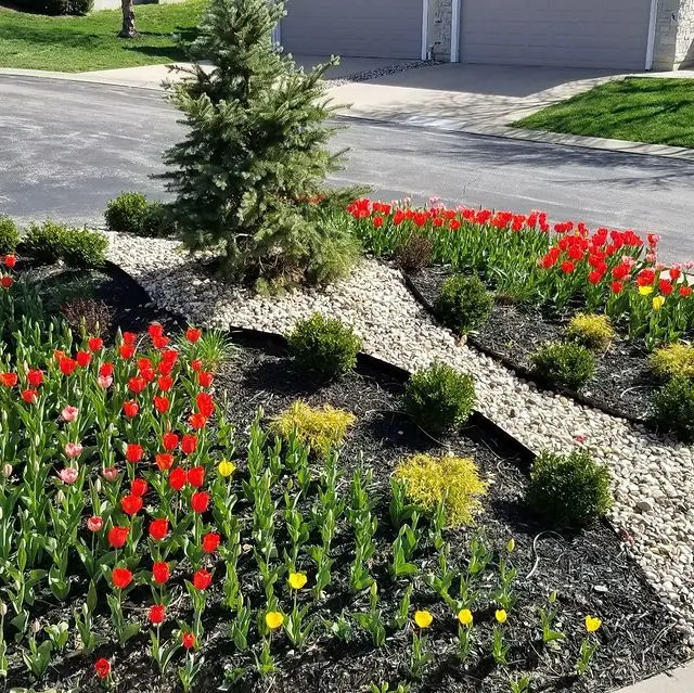 read and yellow flowers in a flower bed with gravel path