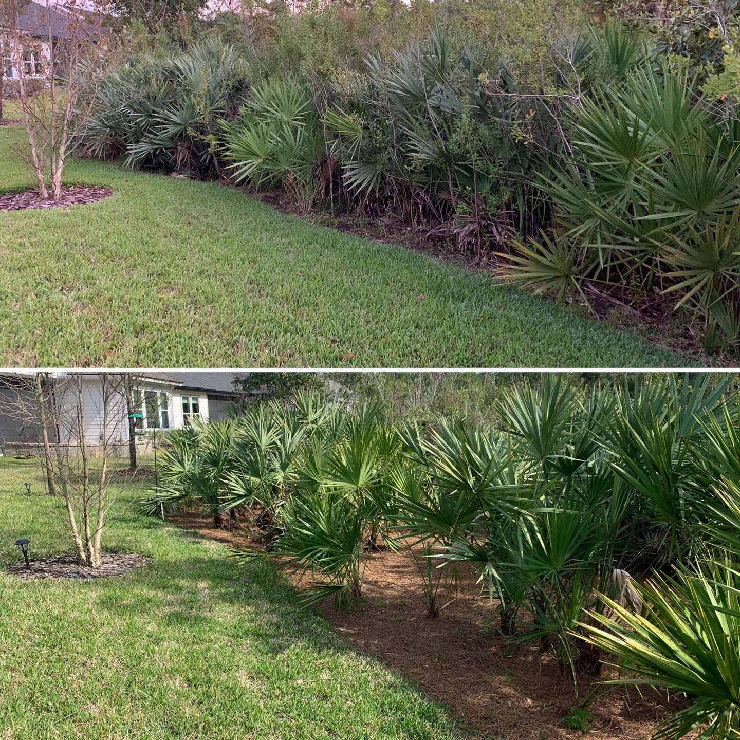 The Grounds Guys of St Johns, FL General