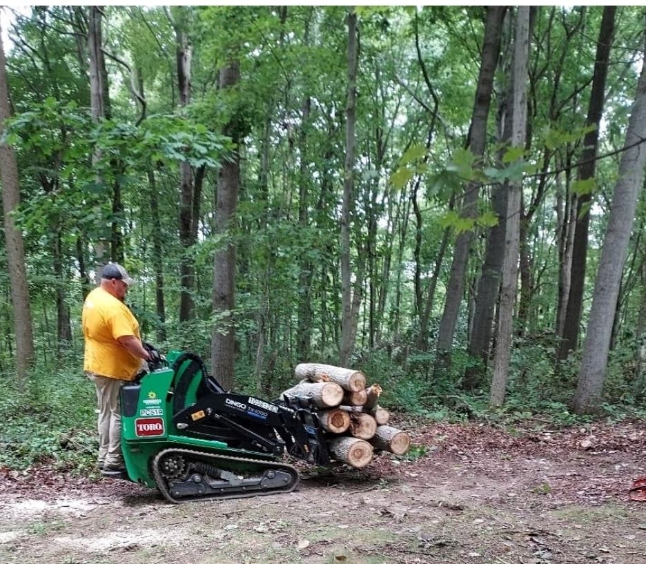 Tree service and removal in Pittsburgh