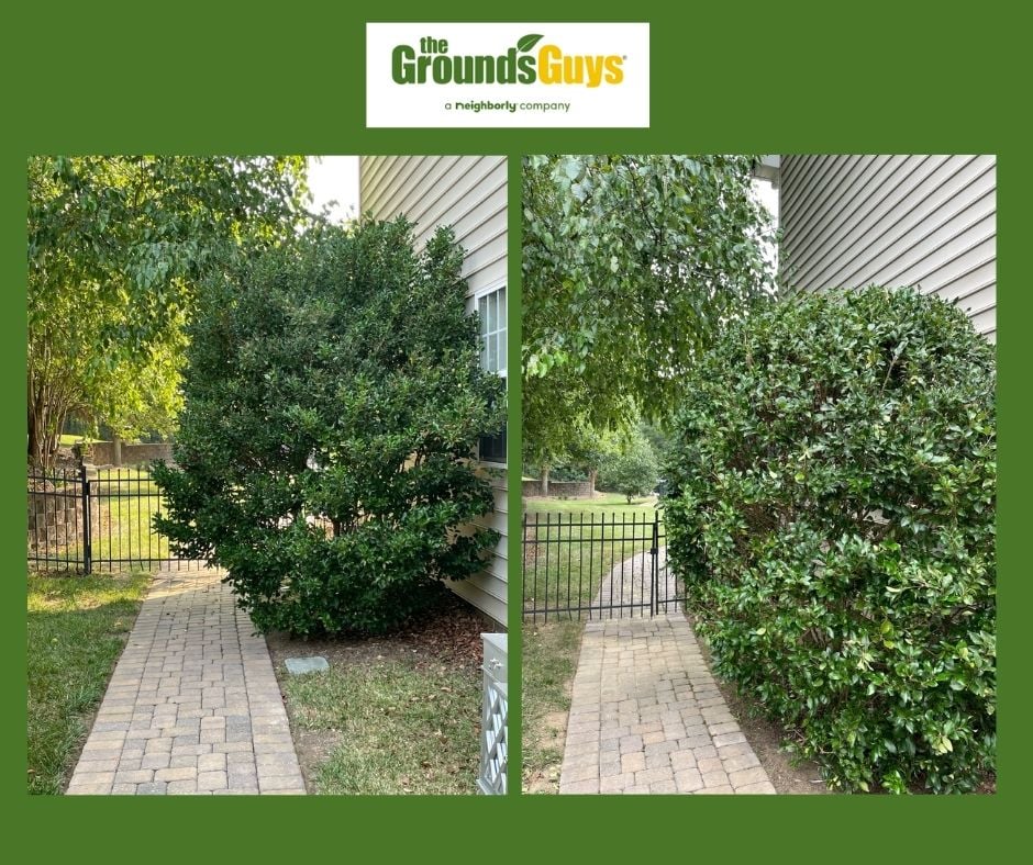 Trimming your shrubs increases your curb appeal.