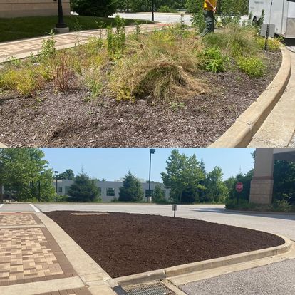 Weed Removal and Mulch