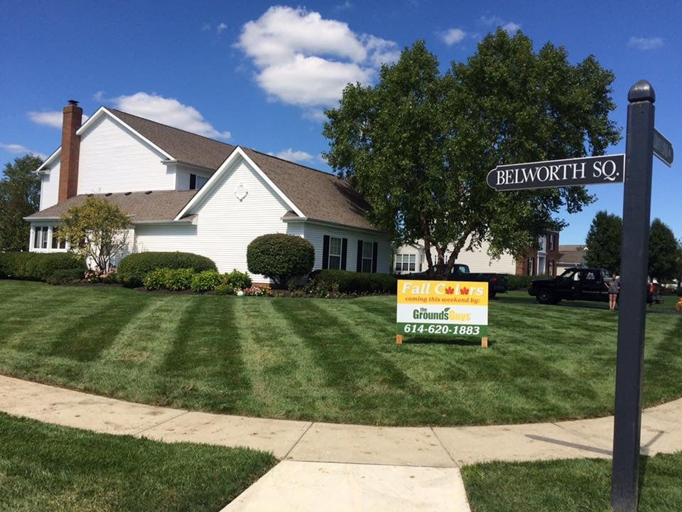 Well manicured lawn