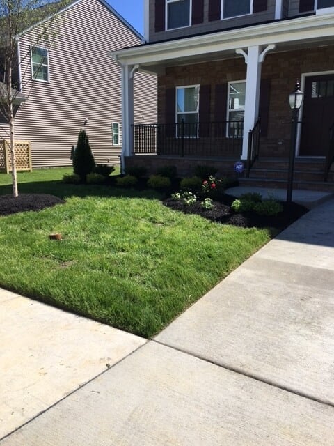 Well manicured lawn and front of house