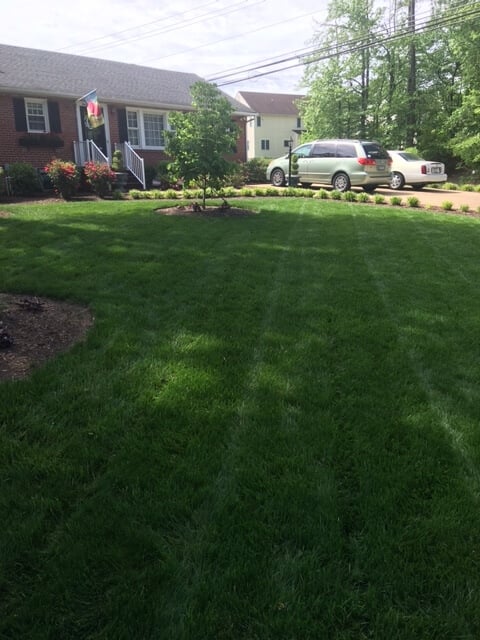 Well manicured lawn and front of house