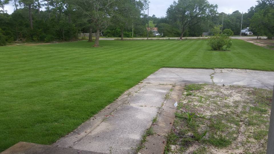 Well manicured lawn and old cement path