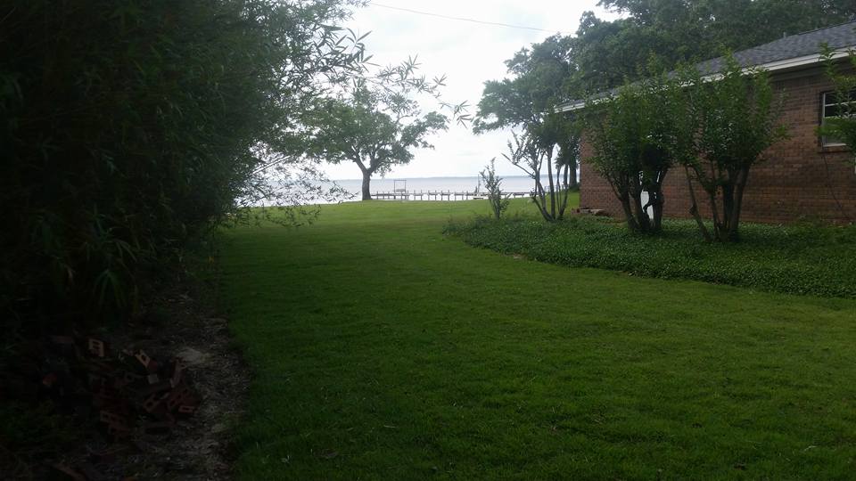 Well manicured lawn and shrubs