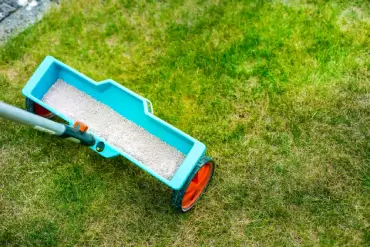 Fertilization tool on lawn.