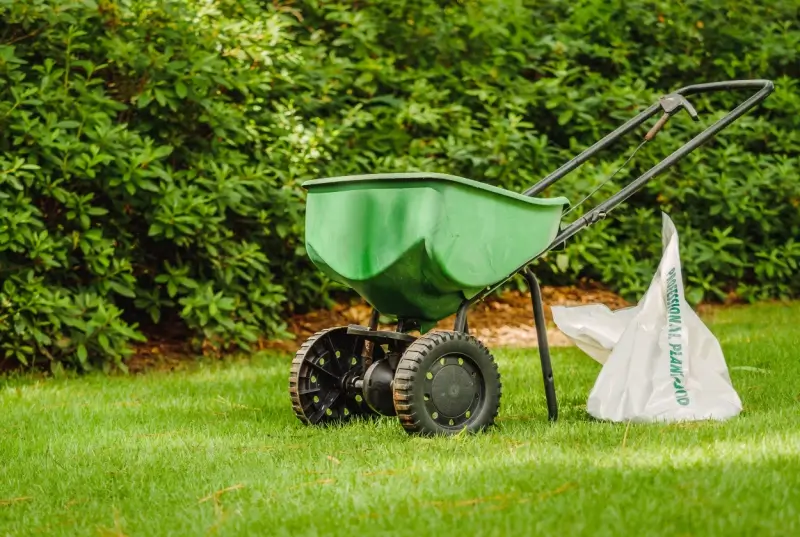 Bag of lime pellets and seed spreader on grass.