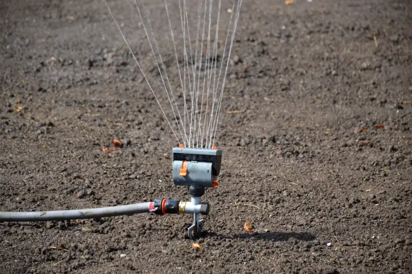 Automatic sprinkler watering seeds planted in soil.