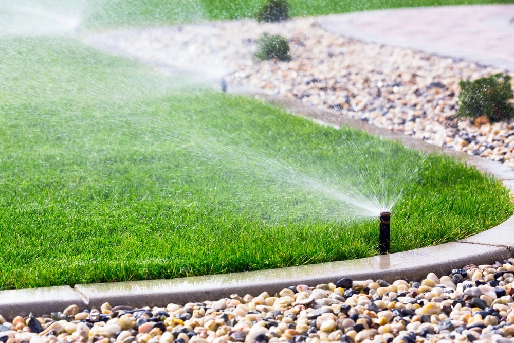 Automatic sprinkler system watering grass.