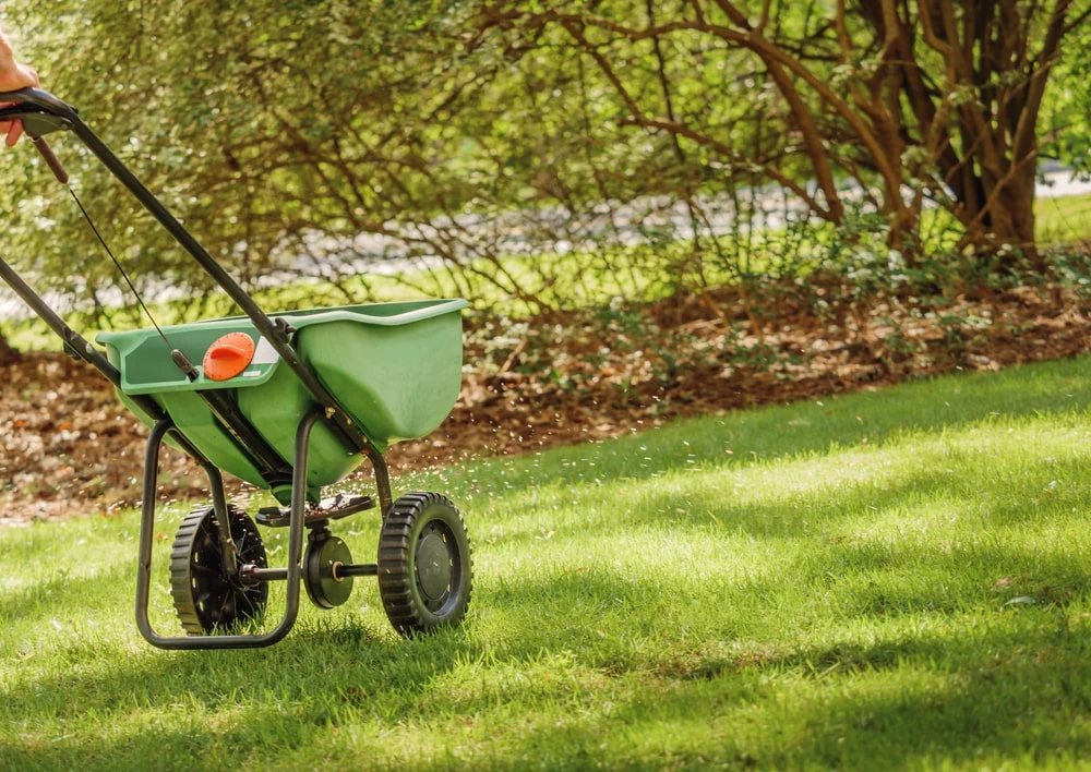 Landscaper using manual fertilization tool on grass