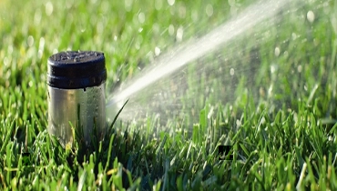 Sprinkler watering grass