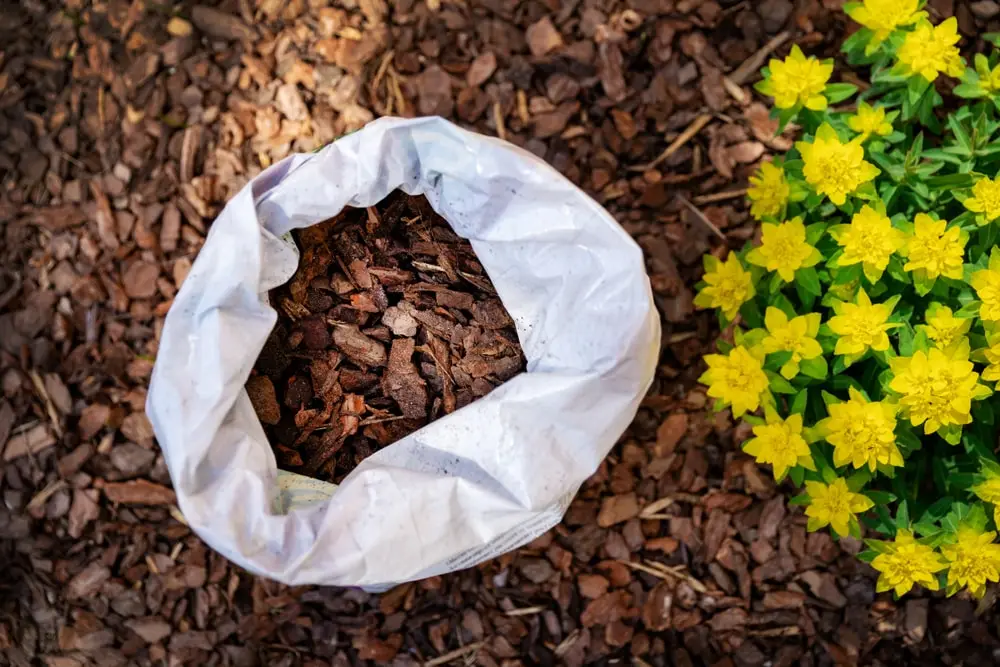 Mulch in garden bed