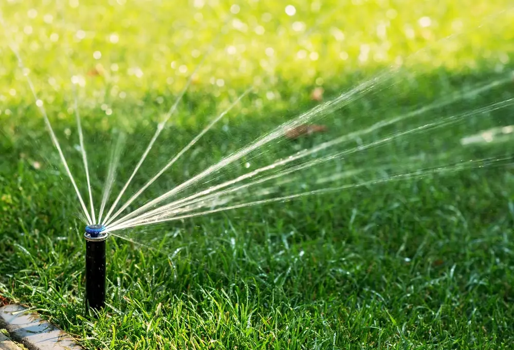 Sprinkler watering grass