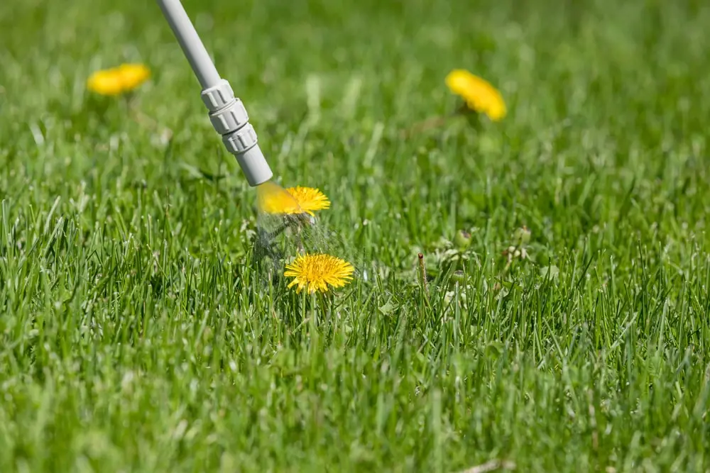 weed sprayer tip