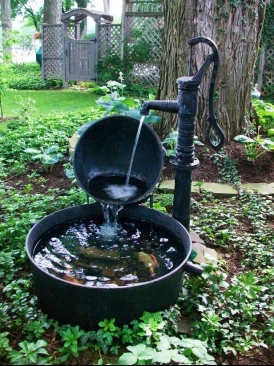 Pond in a Trough