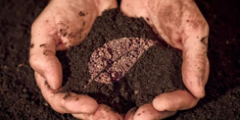 person holding dirt in hands