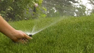 A service professional's hand adjusting a sprinkler head in grass as it sprays water.
