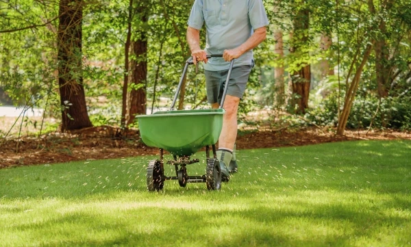 Man fertilizing and seeding residential backyard lawn with manual grass fertilizer spreader.