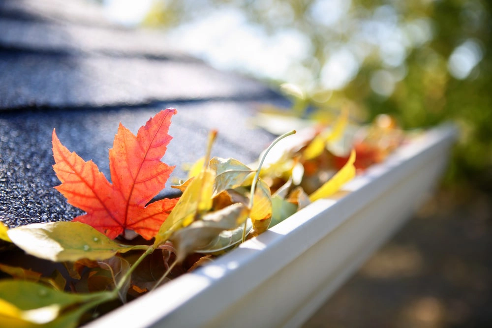 Gutter clogged with leaves