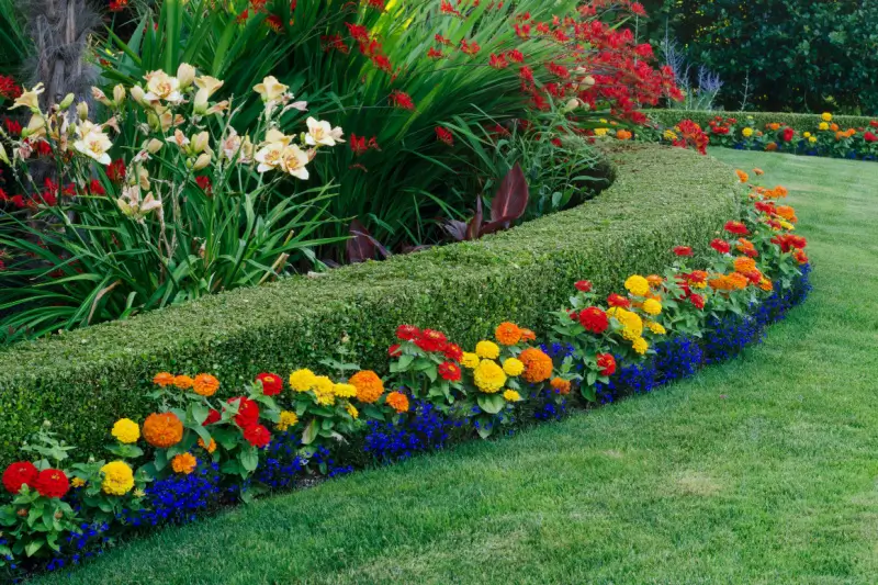 Colorful flowers on landscape