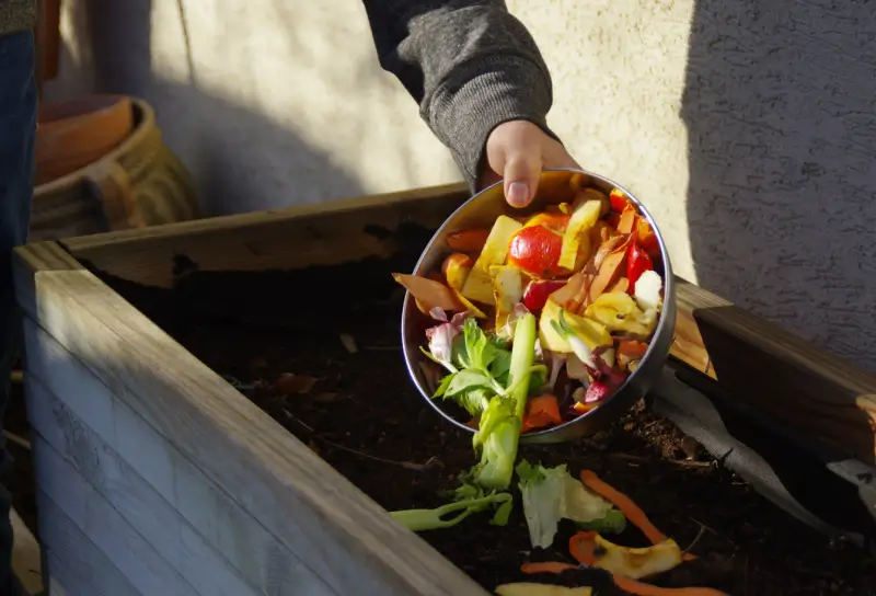 Person pouring kitchen scraps into compost bin