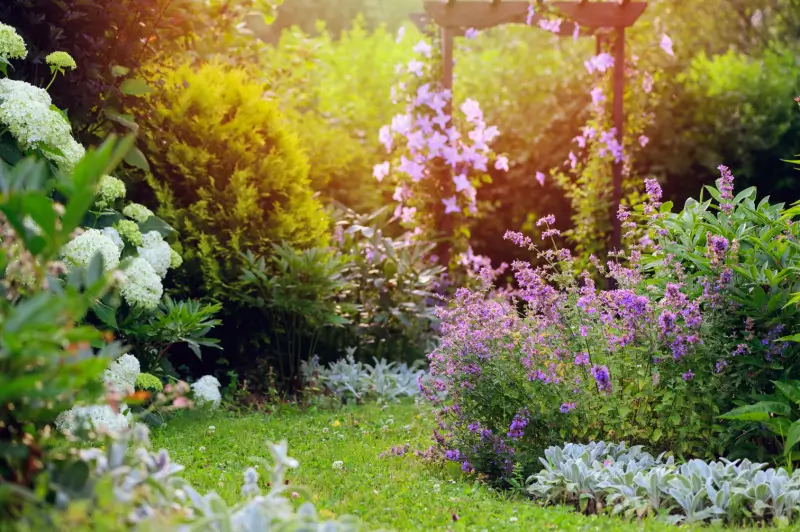 Cottage garden in residential landscape