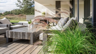 Ornamental grass growing near patio