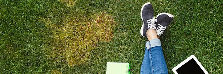 Person relaxing on the grass.