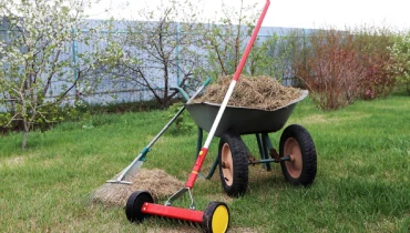 Dethatching tools