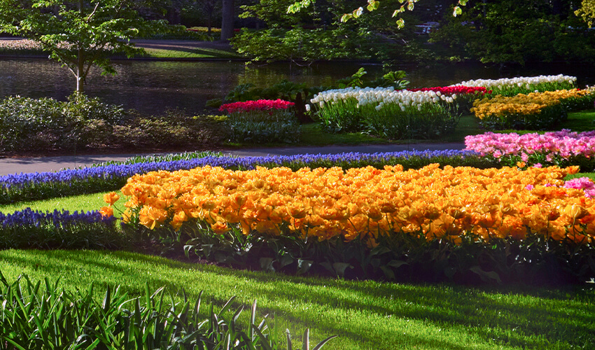 Flowerbeds on a landscape