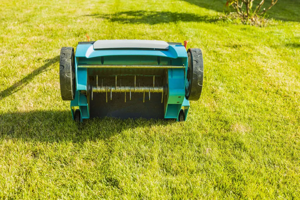 Electric lawn aerator