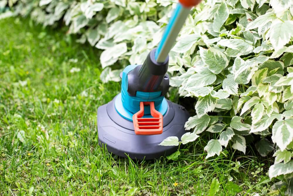 Electric lawn edger