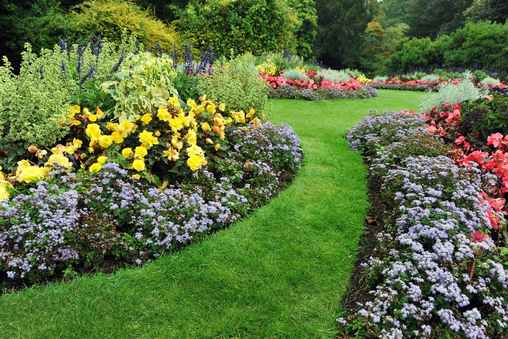 Flower bed arrangement in backyard